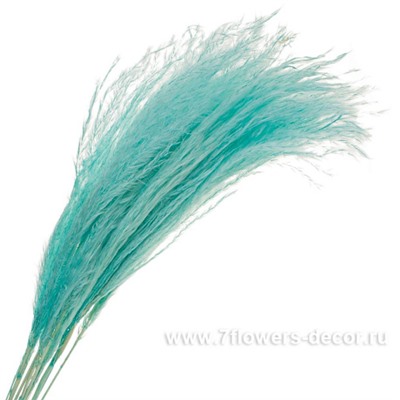 Набор ковыля, H60 см, (10 шт)