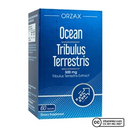 Ocean Tribulus Terrestris 60 капсул
