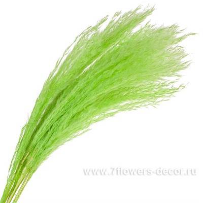 Набор ковыля, H60 см, (10 шт)