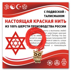 KN341 Красная нить Сова (знания, счастье, успех)