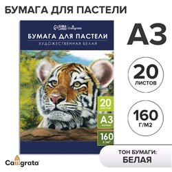 Бумага для пастели А3, 20 листов "Тигр", блок 160 г/ г/м², в папке