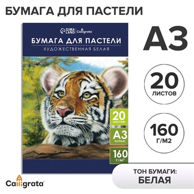 Бумага для пастели А3, 20 листов "Тигр", блок 160 г/ г/м², в папке