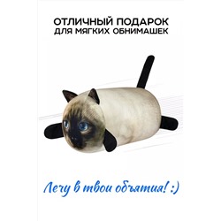 Игрушка-антистресс Кот Барсик