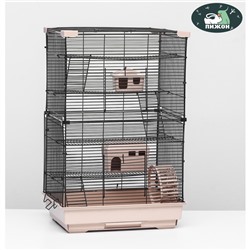 Клетка для грызунов"Пижон"  4 этажа, 42 х 30 х 65 см (+2 домика,2 колеса,миска), беж