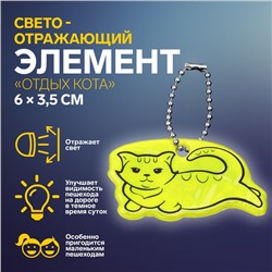Светоотражающий элемент «Отдых кота», двусторонний, 6 × 3,5 см, цвет МИКС
