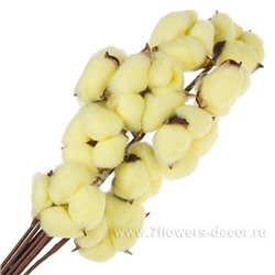 Набор хлопка на вставке, H40 см, (10 шт)
