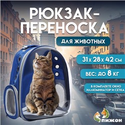 Рюкзак для переноски кошек и собак, прозрачный, 31 х 28 х 42 см, синий