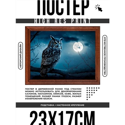 POSG-0294 Постер в рамке 23x17см Сова на дереве