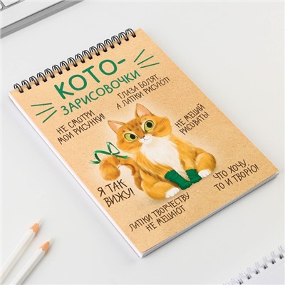 Скетчбук А5, 40 л 100 г/м² «Котозарисовки»