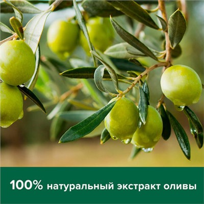 Мыло жидкое 650 мл, PALMOLIVE НАТУРЭЛЬ "Олива и увлажняющее молочко", дозатор, 4852, 8718951548527