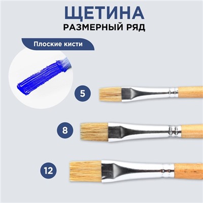Кисть для рисования щетина плоская № 8 (ширина обоймы 10 мм; длина ворса 17 мм)
