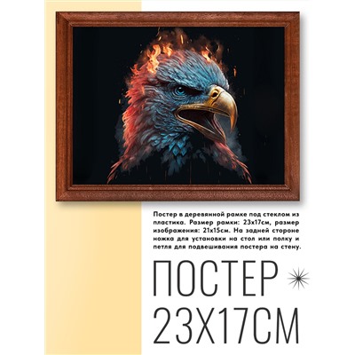 POSG-0271 Постер в рамке 23x17см Орёл