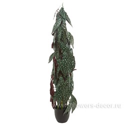 Растение искусственное "Бегония Макулата", H115 см