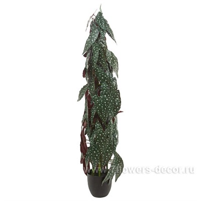 Растение искусственное "Бегония Макулата", H115 см