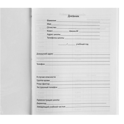 Дневник для 1-11 класса, в мягкой обложке, 40 л., Мстители