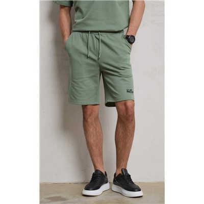Шорты P411-0984 olive