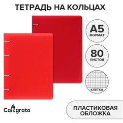 Тетрадь на кольцах A5 80 листов в клетку Calligrata, пластиковая обложка, блок офсет, белизна 95%, МИКС