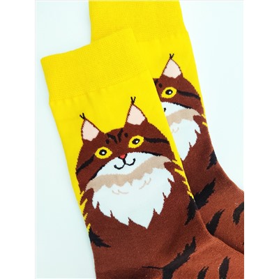 Носки р.35-40 "Cute Animals" Котя
