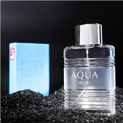 Туалетная вода мужская Aqua Fresh, 100 мл