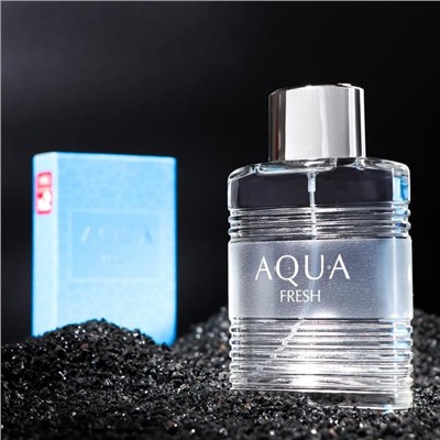Туалетная вода мужская Aqua Fresh, 100 мл