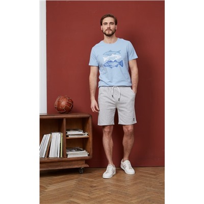 Футболка F311-06-734 grey-blue