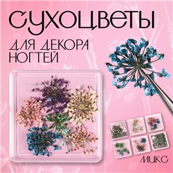 Сухоцветы для декора «Весна», в футляре, МИКС