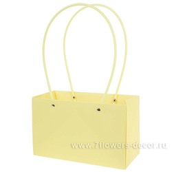 Набор сумок с ламинацией (картон), 22x10xH13,5 см (10шт)