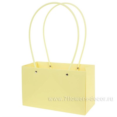 Набор сумок с ламинацией (картон), 22x10xH13,5 см (10шт)