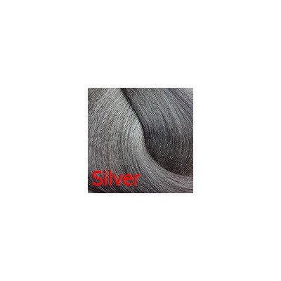 SH Крем-краска для волос POWER COLOR СЕРЕБРЯНЫЙ 100 мл