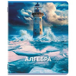 Тетрадь предметная КЛАССИКА ПРИРОДА 48 л., обложка картон, АЛГЕБРА, клетка, подсказ, BRAUBERG, 405082
