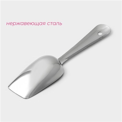 Совок для льда из нержавеющей стали Доляна, длина 22,5 см, цвет хромированный