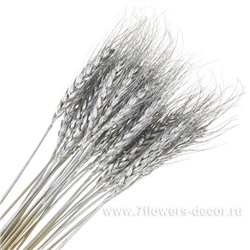 Набор колосков пшеницы, 60 см (30 шт)