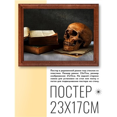 POSG-0098 Постер в рамке 23x17см Череп и книги