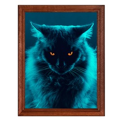 POSV-0416 Постер в рамке 17x23см Длинношёрстный кот