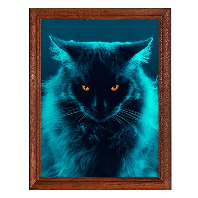 POSV-0416 Постер в рамке 17x23см Длинношёрстный кот