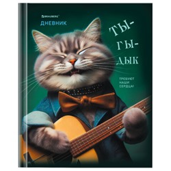 Дневник 5-11 класс 48 л., твердый, BRAUBERG, глянцевая ламинация, с подсказом, Ты-Гы-Дык, 107184