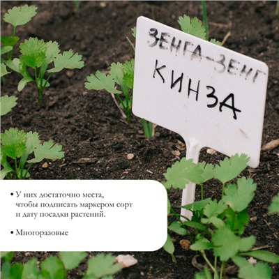 Бирки садовые, для маркировки растений, 10,5 см, набор 20 шт., пластик, цвет МИКС, Greengo