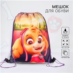 Мешок для обуви 420×330 мм, «Скай, Щенячий патруль»