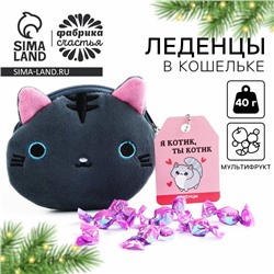Леденцы «Кис-кис» в кошельке, со вкусом арбуза, 40 г.