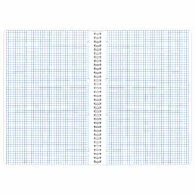 Тетрадь А4, 96 л., BRAUBERG, гребень, клетка, обложка картон, КРАСИВЫЕ ЦВЕТЫ, 403072