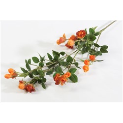 Кустовая роза оранжевая