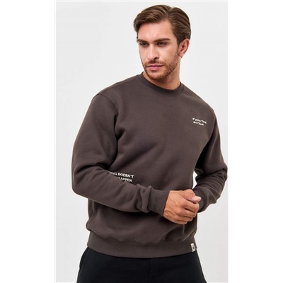 Свитшот P421-0503 d.grey