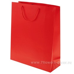 Набор пакетов подарочных однотонных, 26x10,5xH32 см (12шт)
