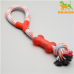 Игрушка тренировочная канатная с косточкой, до 120 г, до 40 см, микс цветов