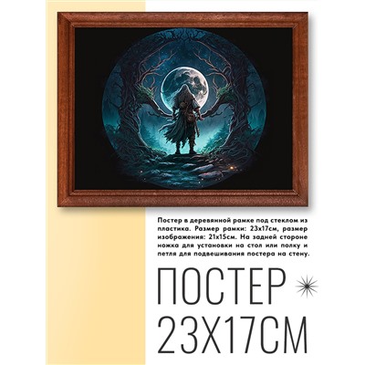 POSG-0221 Постер в рамке 23x17см Колдун