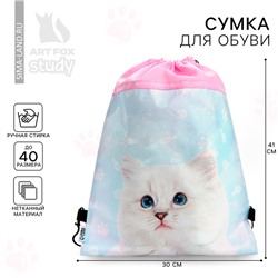 Мешок для обуви «Мысли кота» нетканое полотно, размер 30×40 см МИКС