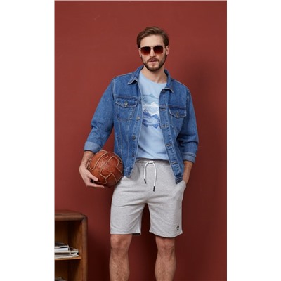 Футболка F311-06-734 grey-blue