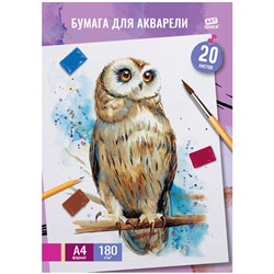 Папка для акварели, 20л., А4 ArtSpace "Сова", 180г/м2