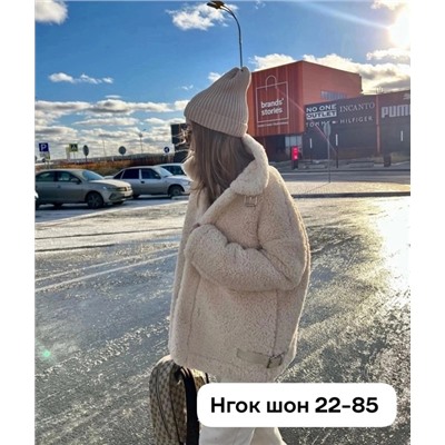 шуба 11.01.