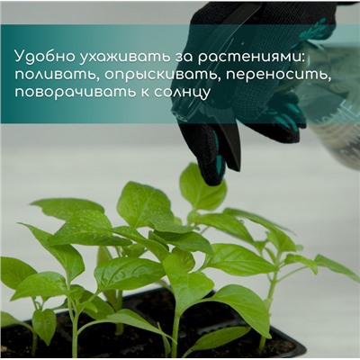 Кассета для рассады, 6 ячеек по 120 мл, пластик, чёрная, 18 × 13 × 6 см, набор 10 шт., Greengo